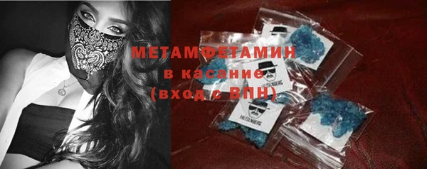 сатива Новодвинск