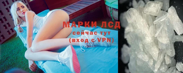 сатива Новодвинск