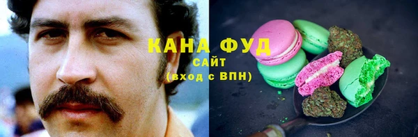 сатива Новодвинск