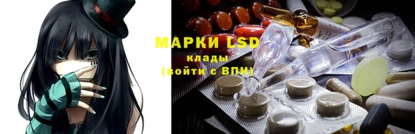 сатива Новодвинск