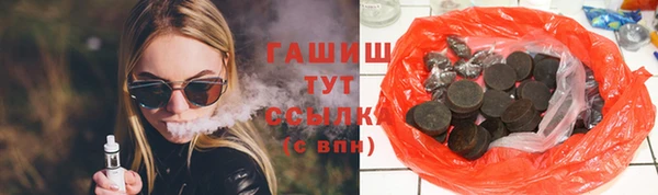 сатива Новодвинск