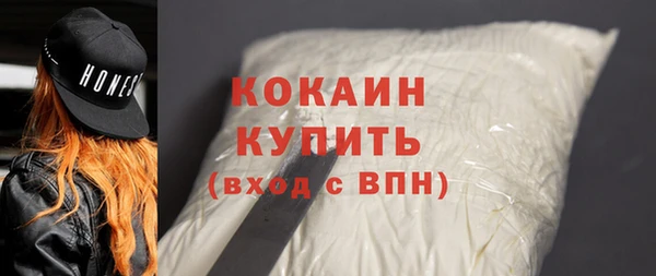 сатива Новодвинск