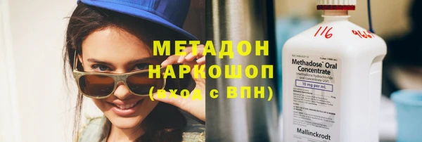сатива Новодвинск