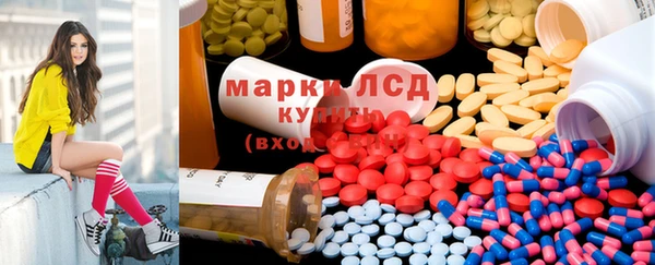 сатива Новодвинск