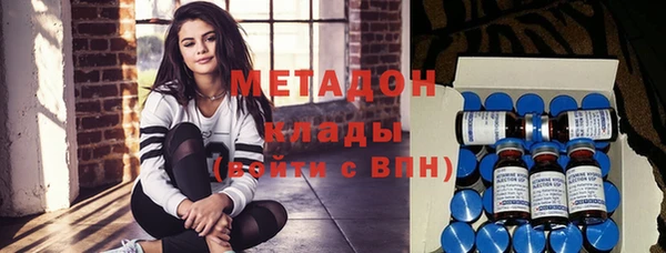 сатива Новодвинск