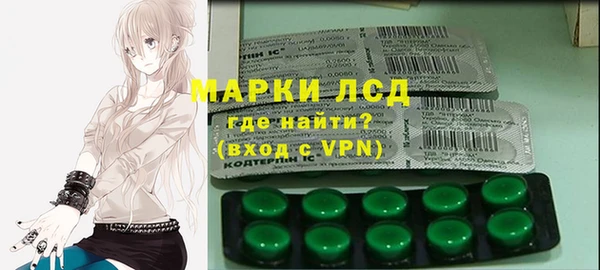 сатива Новодвинск