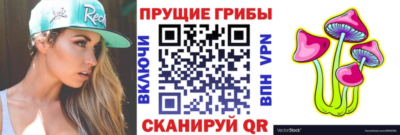 Псилоцибиновые грибы мухоморы  Кудрово 