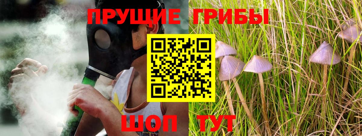 Псилоцибиновые грибы ЛСД  Вход с VPN  Кудрово 