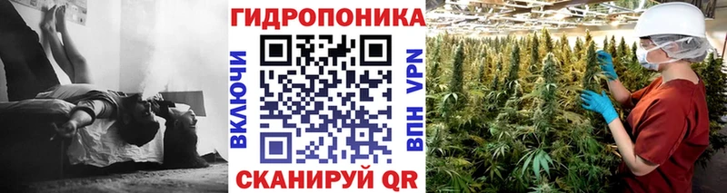 Конопля SATIVA & INDICA Кудрово