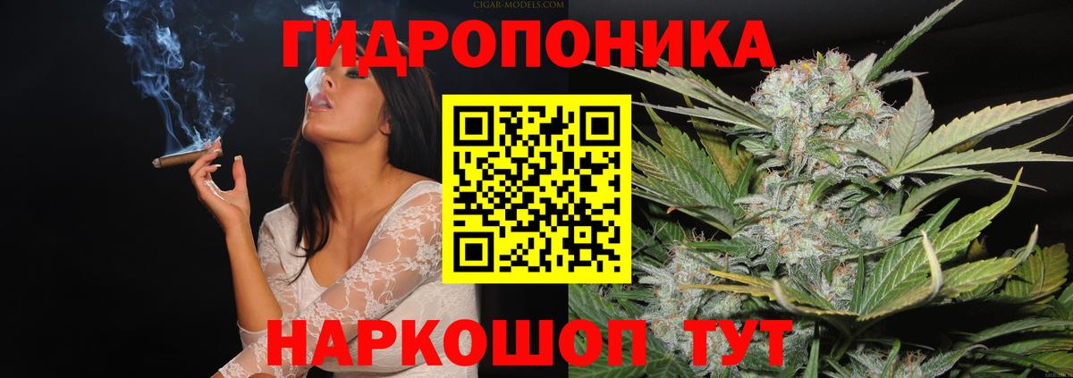 Кудрово  Бошки марихуана White Widow  МАРИХУАНА MAZAR  Вход с VPN  Бошки марихуана план 